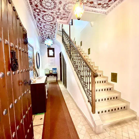 Riad Nouhal-3